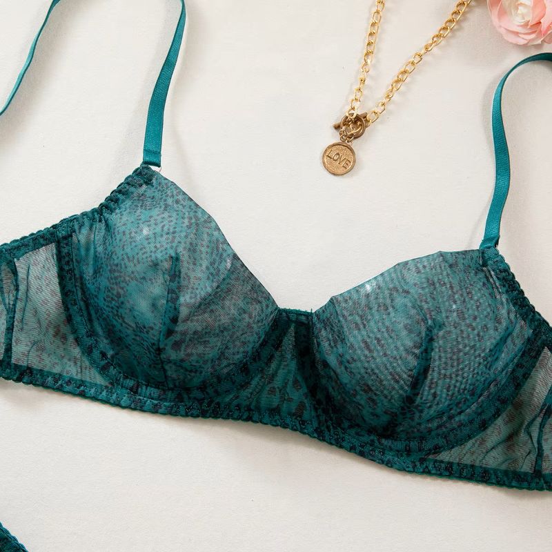 طقم ملابس داخلية نسائية من قطع - مراجعة Sheer Mesh Bra وسعره